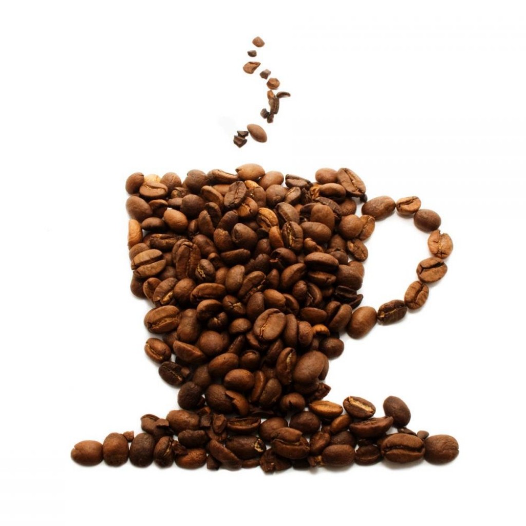 logo.png-1024x1024.jpg